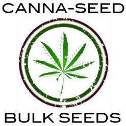 Canna-Seed-Bulk-seeds-logo