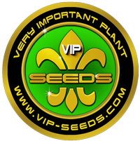 VIP Seeds Logo