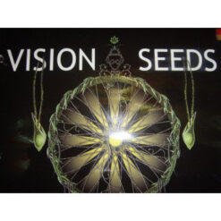 Vision-Seeds-Logo