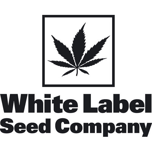 white_label-seeds-logo