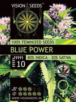 BLUE-POWER-FEM-vision-seeds
