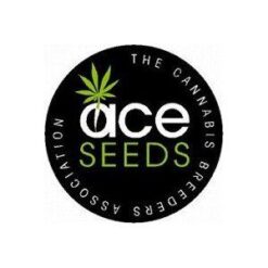 ACE Seeds logo