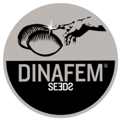Dinafem_logo_2
