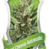 Royal Cheese automatic - Royal Queen Seeds