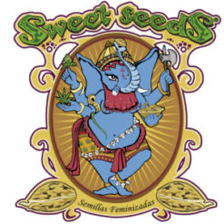 logo sweet seeds