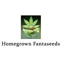 Homegrown-Fantaseeds-Logo