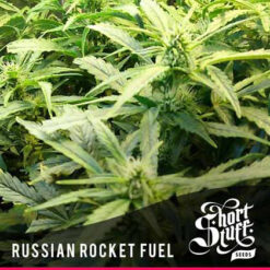 Short_Stuff_Next_Gen_Russian_Rocket_Fuel