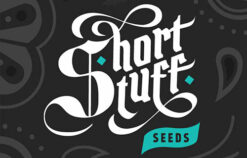 short stuff logo