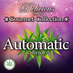 DeliciousSeeds-gourmet-collection-automatic2
