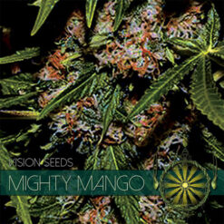 Mighty-Mango-Bud