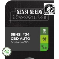 Sensi-Seeds-Sensi-34-cbd-auto