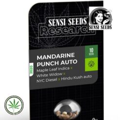 Sensi-Seeds-Mandarine-Punch-Auto