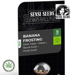 Sensi-Seeds-Banana-Frosting-fem