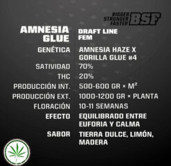 amnesia glue info