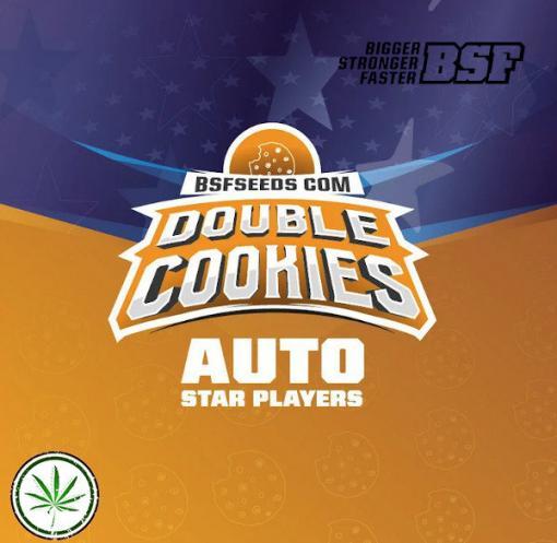 double cookies auto