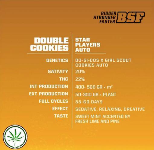 double cookies auto info