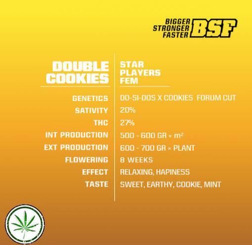 double cookies info