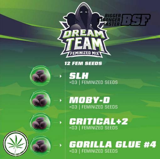 dream team 1