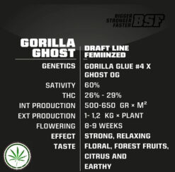gorilla ghostinfo