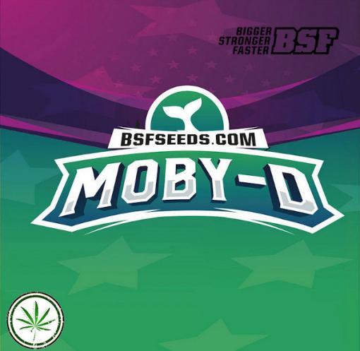 moby d 1