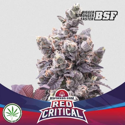 red critical
