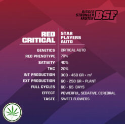 red criticalinfo