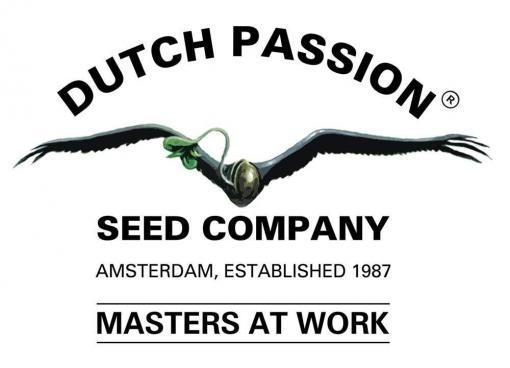 Dutch_Passion-logo-neu