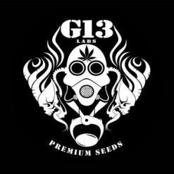 G13_Labs_Logo