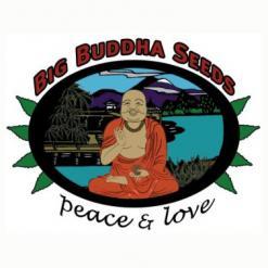 big_buddha_seeds_logo