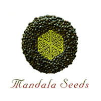 mandala-seeds-square