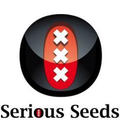 serious-seeds-logo