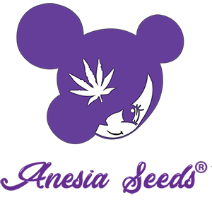 anesia-Seeds-logo